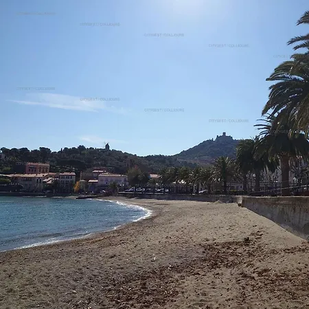 6creu1 - Confortable Avec Terrasses Et Jardinet Dans Maison Collioure